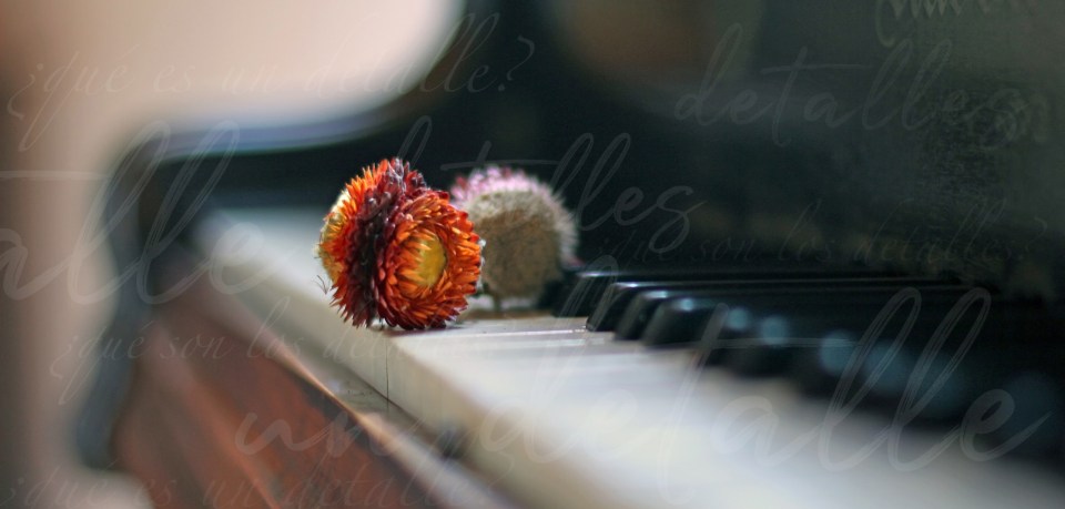 Detalles, romance LGBT, reflexiones, recuento.