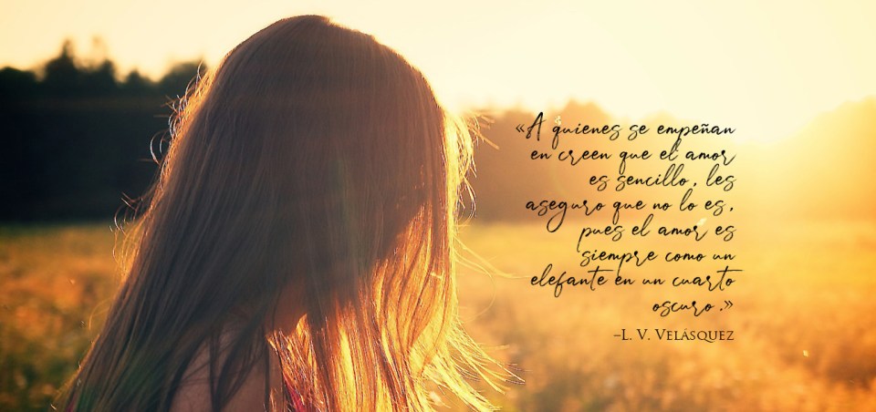 Cita de la novela "El amor como un elefante".