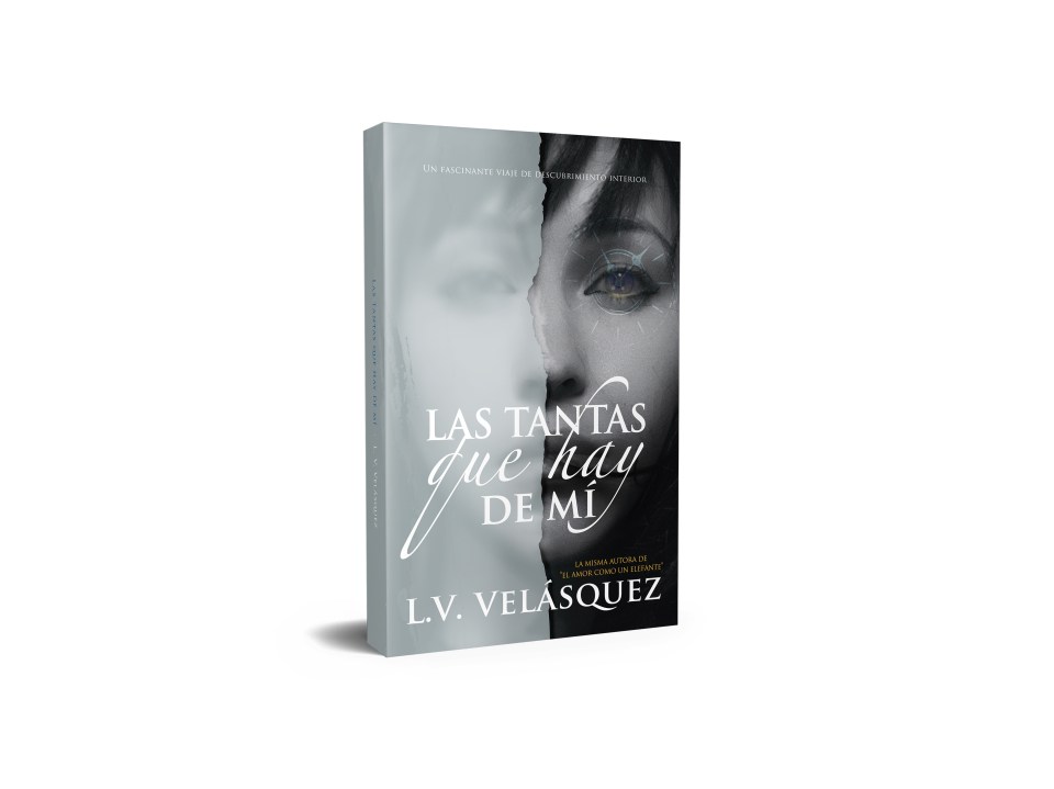 Imagen de portada referencial LTQHDM