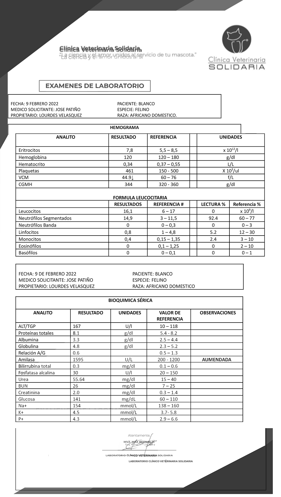 Exámenes médicos de Blanco Velásquez-Montiel