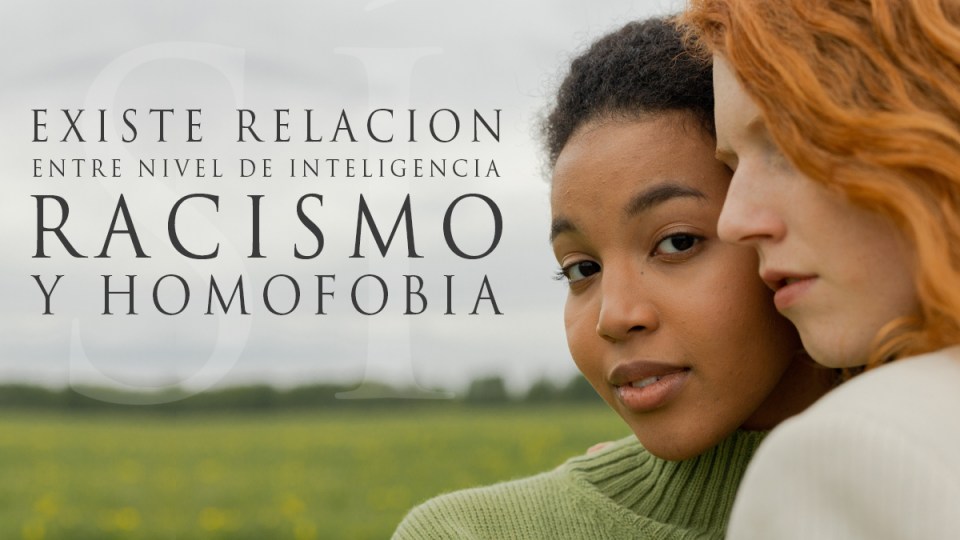 Blog SimplementeVelasquez. Diversos estudios establecen relación entre baja inteligencia y homofobia. Foto de Ron Lach de Pexels.