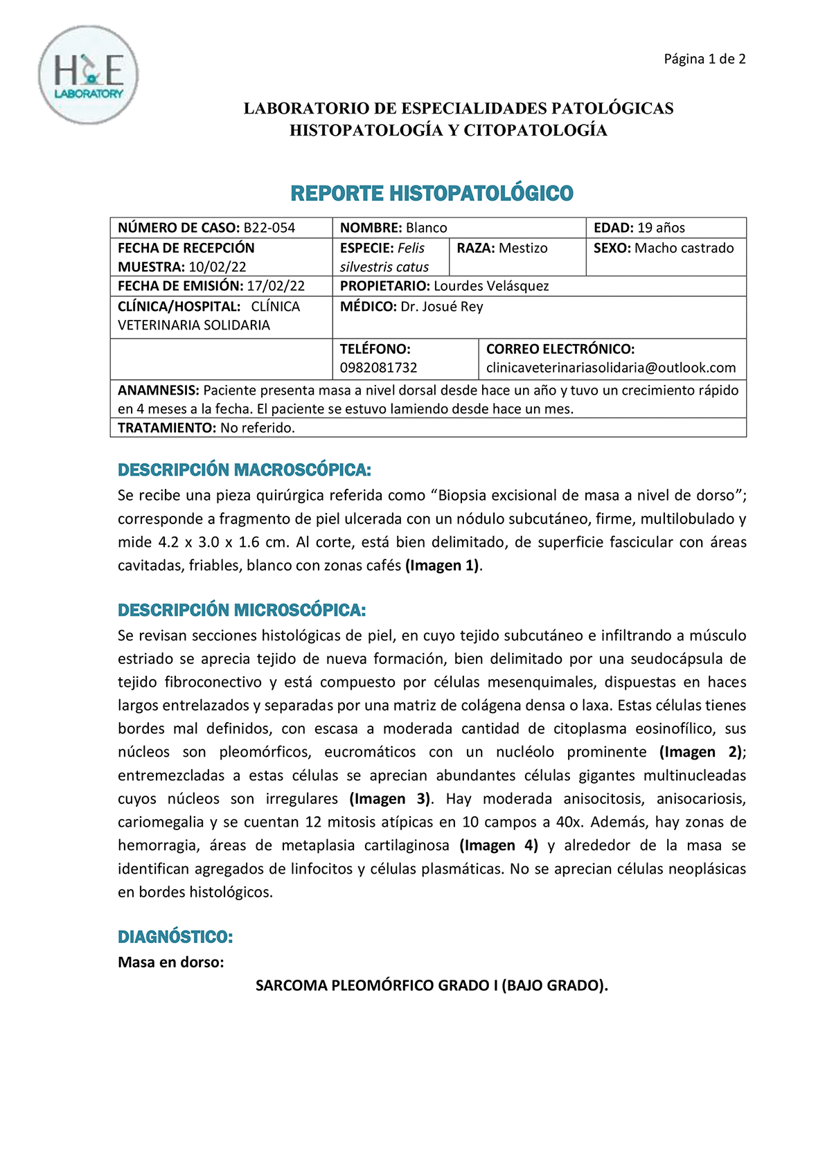 Update Pathology Report Blanco /Actualización Patología Blanco
